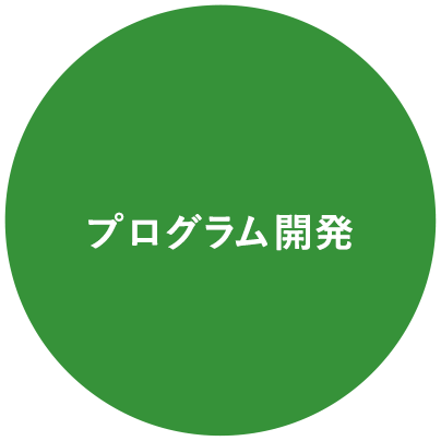 プログラム開発
