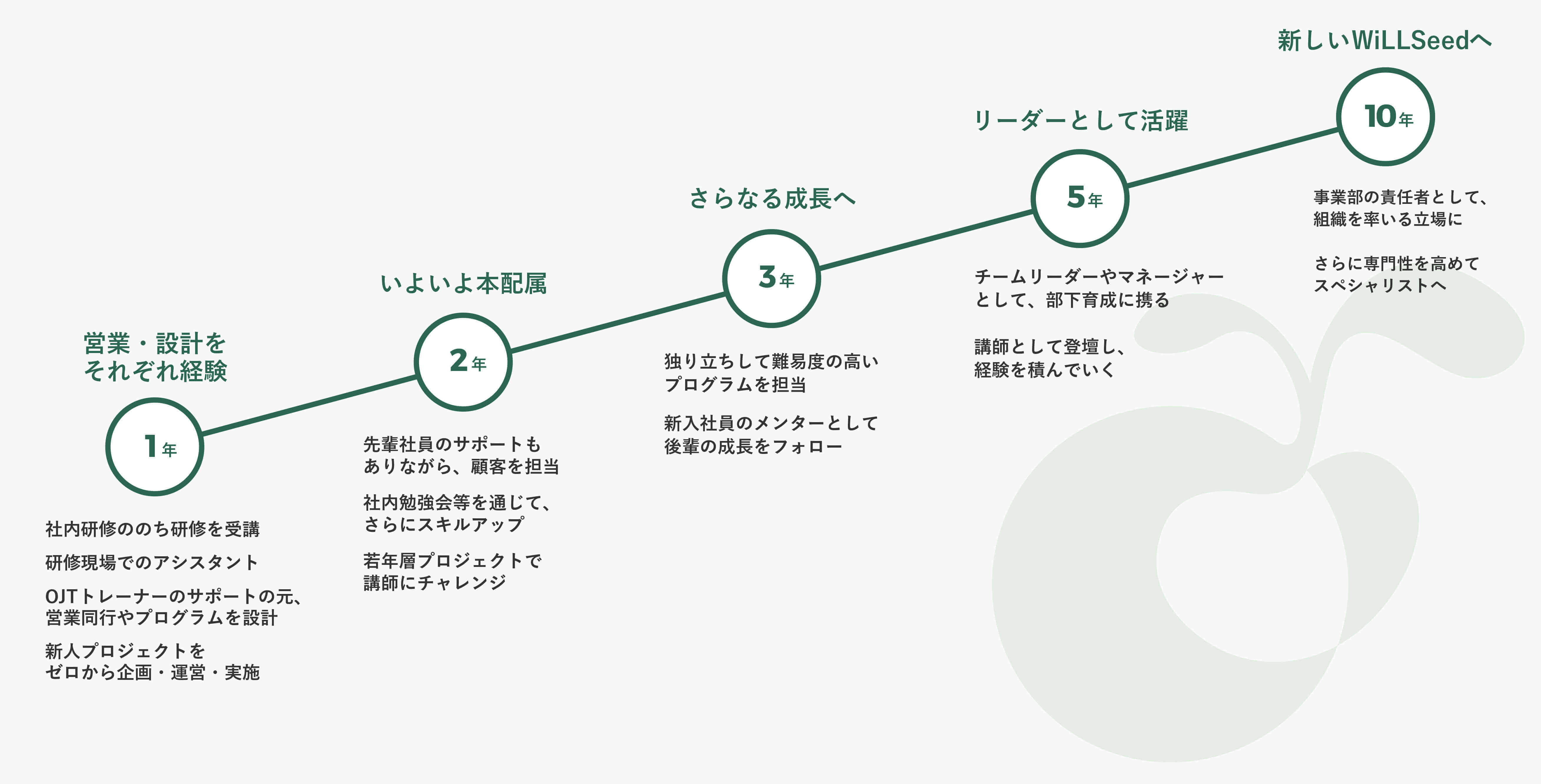 入社後の成長ステップ