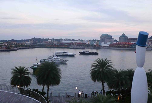 海外トレーニー支援